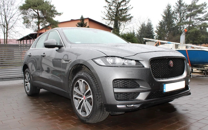 Jaguar F-Pace cena 80000 przebieg: 139000, rok produkcji 2017 z Łasin małe 596